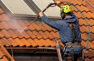 Démoussage et hydrofuge de toiture au Vigeant